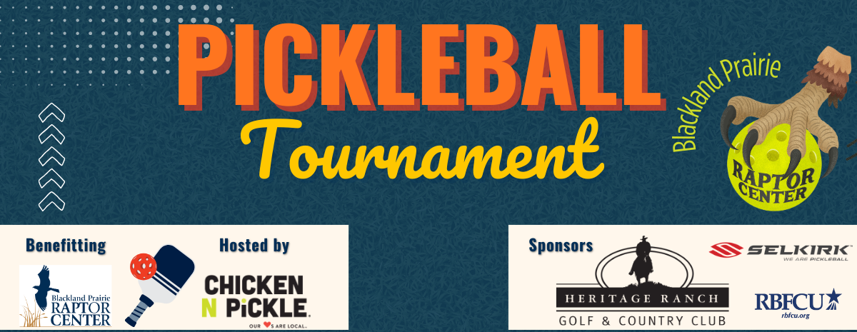 Pickleball Tournament