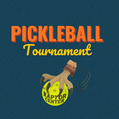 Pickleball Tournament - logo
